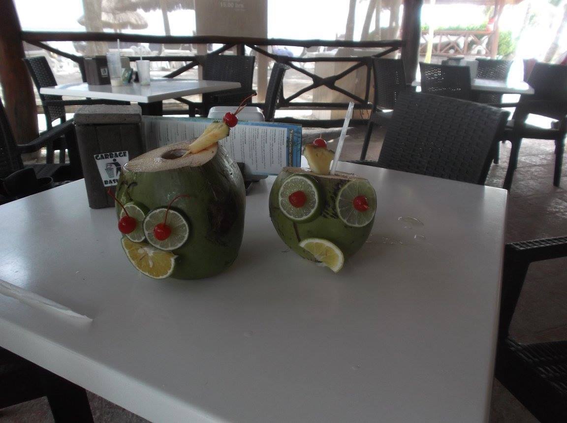coconut drinks