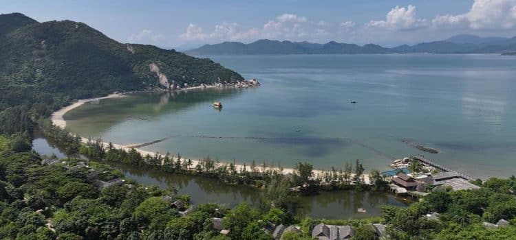 Palladium expanding into Vietnam
